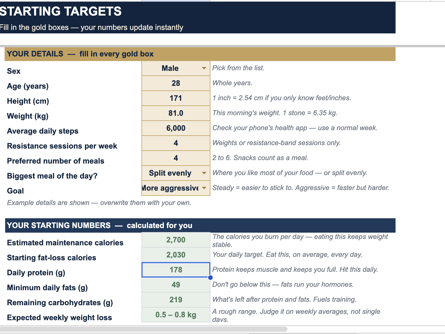 Starting Targets spreadsheet showing calculated calories, protein, fats and carbs